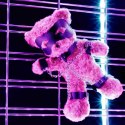 CRUSHIOUS CRUSHITO BONDAGE TEDDY BEAR BLACK 31CM