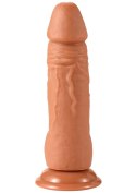 Realistic Dildo PVC 18 cm