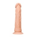 Dong without Testicles - 17 cm