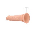 Dong without Testicles - 17 cm