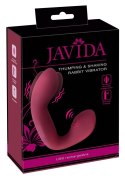 Javida Thumping & Shaking Rabb