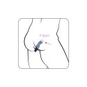 Gladius Vibrator Plug