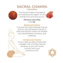 Adrien Lastic Harmony Stones - Natural Stone Kegel & Chakra Wellness Set