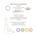Adrien Lastic Harmony Stones - Natural Stone Kegel & Chakra Wellness Set