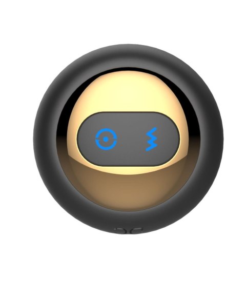 Rotating remote anal plug