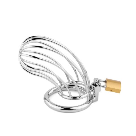 Metal Penis Cock Cage - Regular