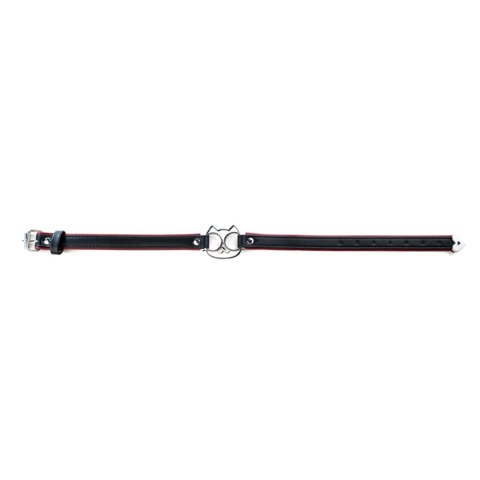 Adjustable collar with cat face.