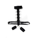 Harness with adjustable neck, belt and breastplate with rings