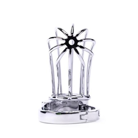 Stainless Steel Penis Cage 2 with Advanced Locking Mechanism