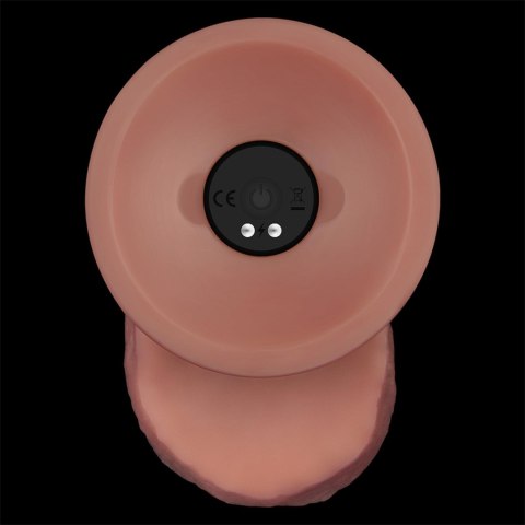 11'' Vibrating Dual Density Power Cock