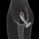 Flawless Clear Prostate Plug 6.0''