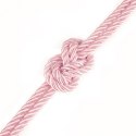 Rebellion Reign Rose Silky Bondage Rope