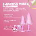 Paris Collection - Metal Anal Plug Set - Pink